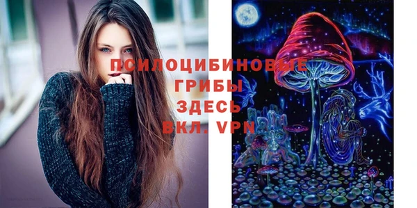 стафф Ессентукская