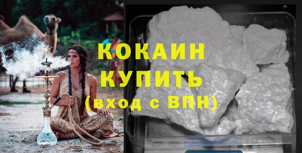 шишки Краснотурьинск