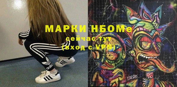 шишки Краснотурьинск