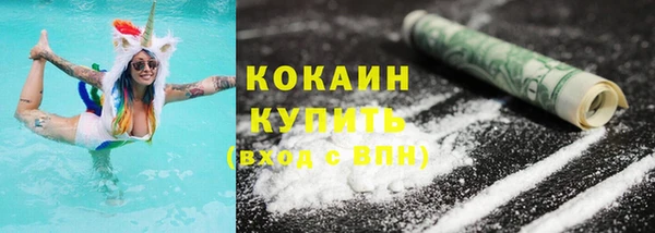 шишки Краснотурьинск