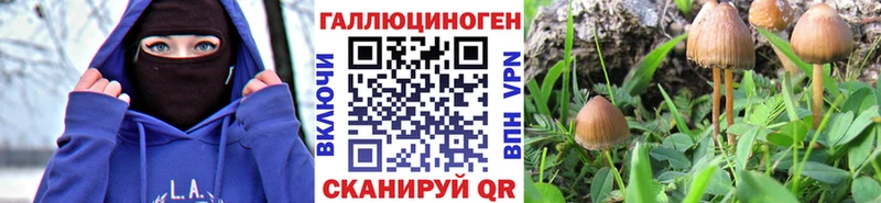 дарнет шоп  kraken зеркало  Галлюциногенные грибы MAGIC MUSHROOMS  Шарья 